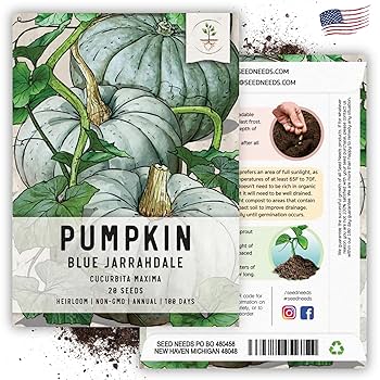 SEED Pennington Smart Seed Dense Shade 3lb. 750 sq. ft. Grass